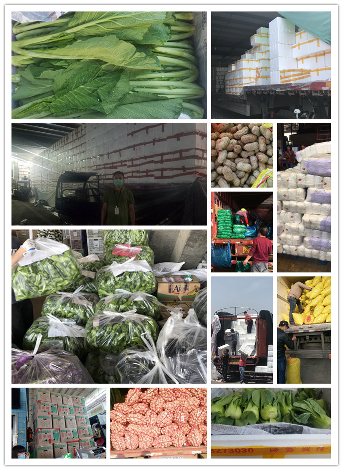 欧宝OB(中国集团)有限公司官网