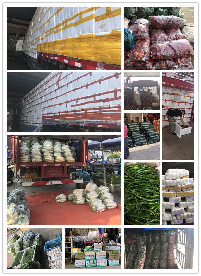 欧宝OB(中国集团)有限公司官网