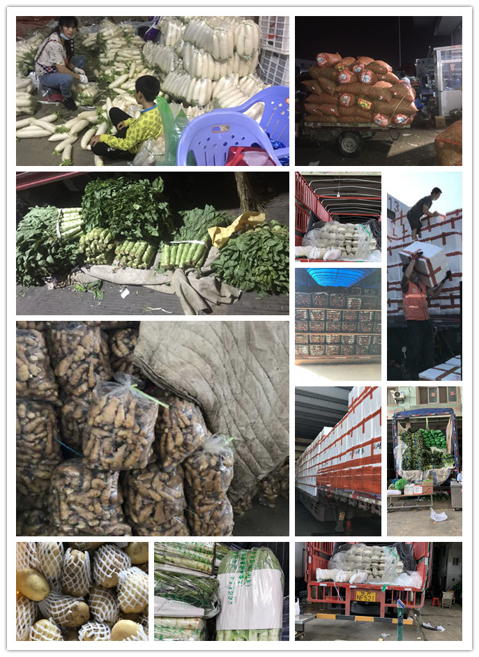 欧宝OB(中国集团)有限公司官网