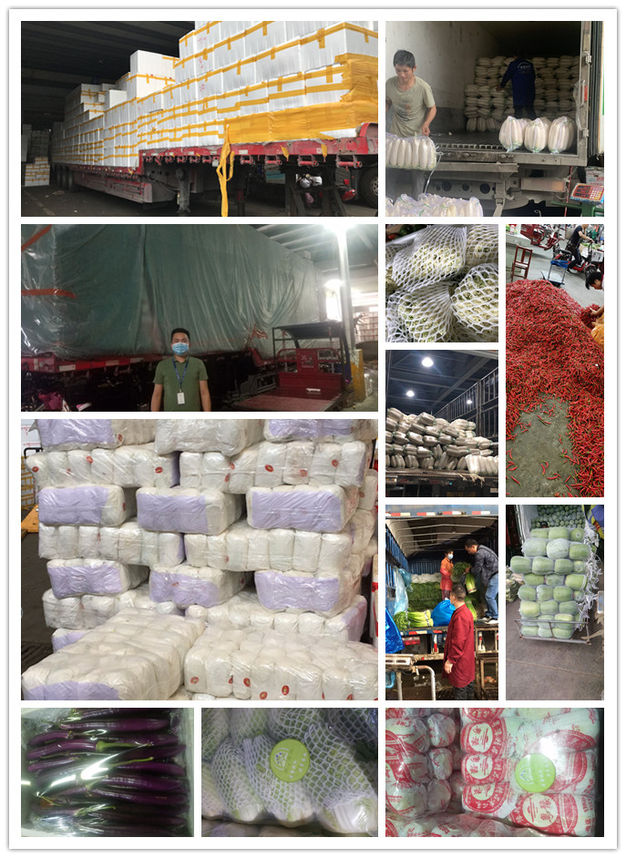 欧宝OB(中国集团)有限公司官网