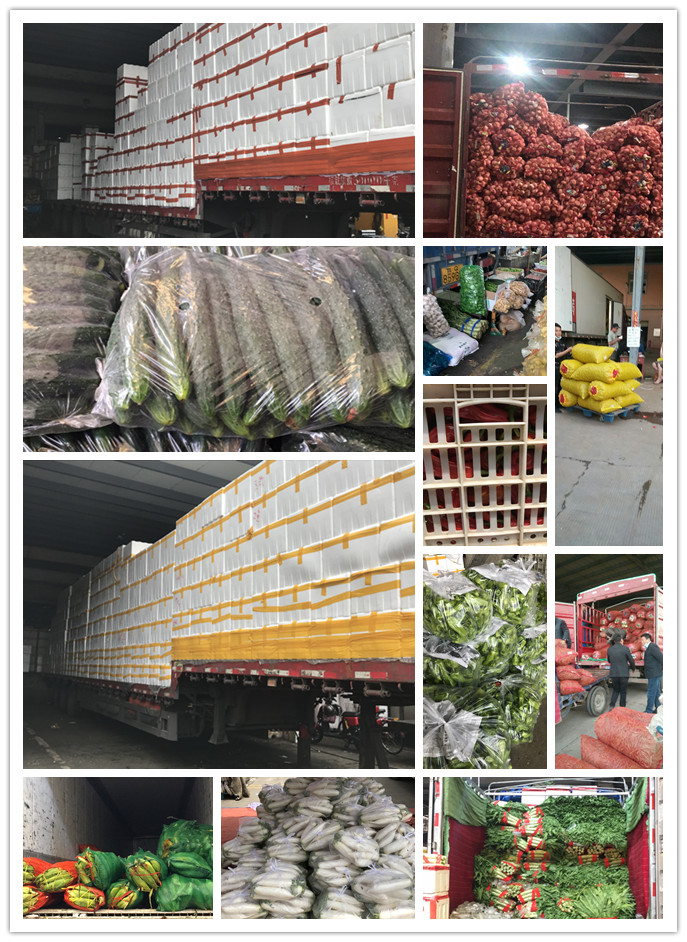 欧宝OB(中国集团)有限公司官网