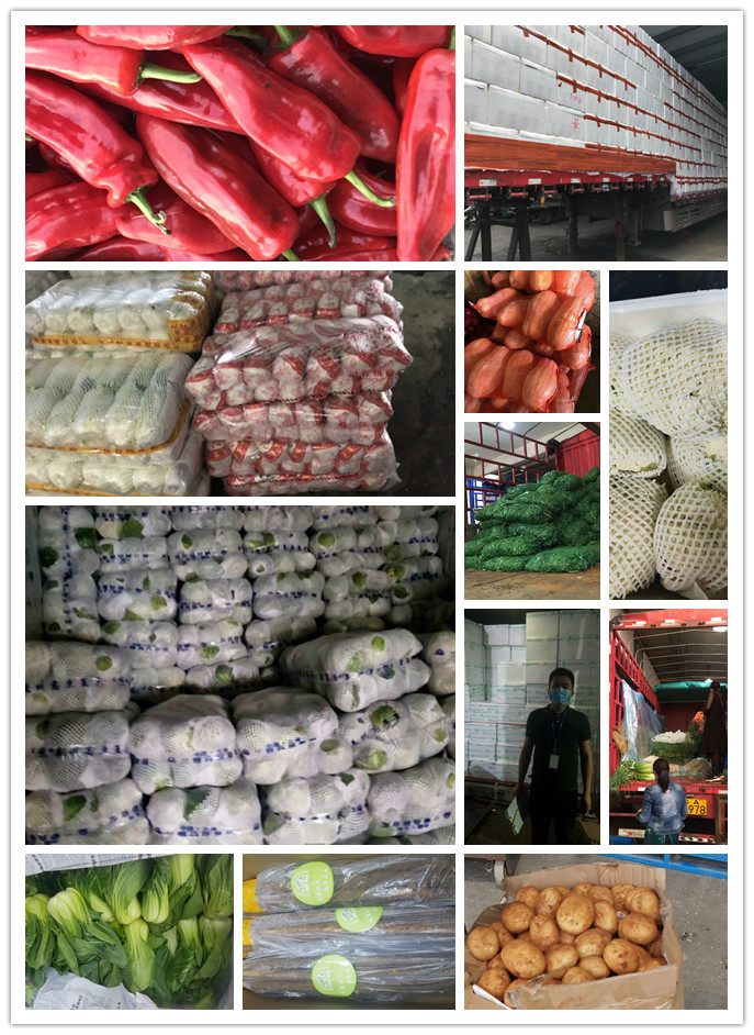 欧宝OB(中国集团)有限公司官网