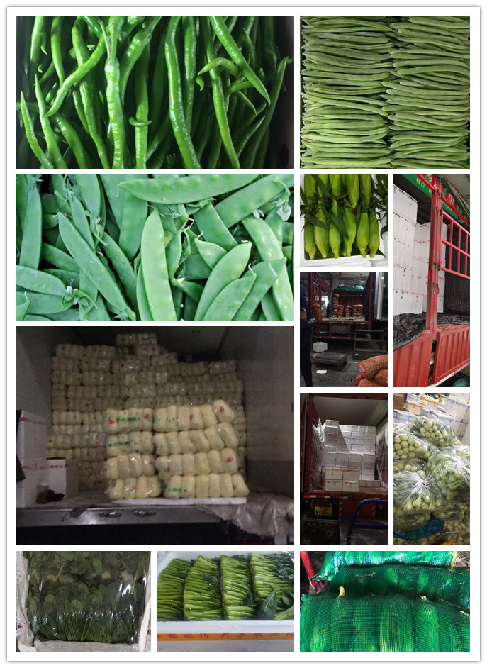 欧宝OB(中国集团)有限公司官网