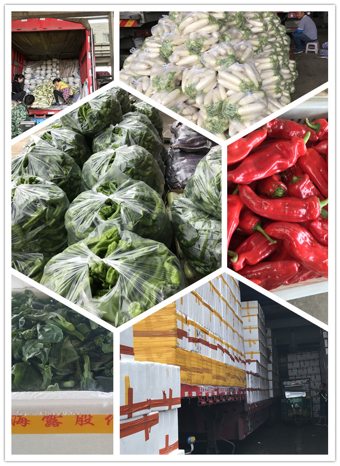 欧宝OB(中国集团)有限公司官网