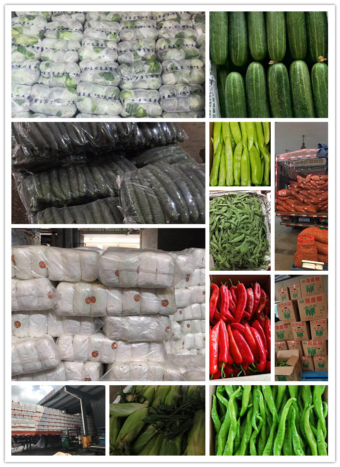 欧宝OB(中国集团)有限公司官网