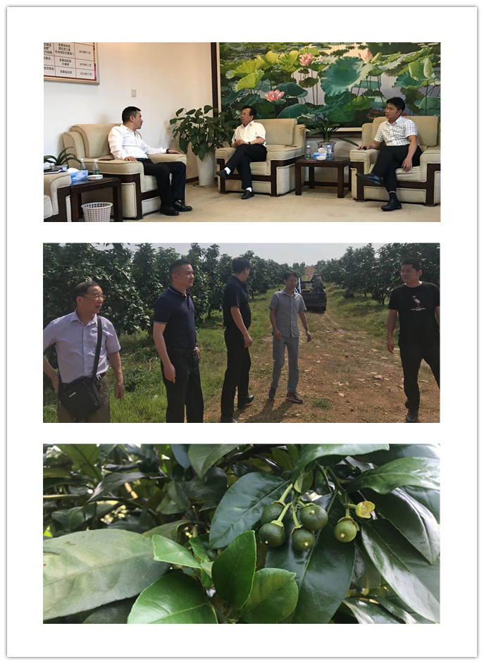 欧宝OB(中国集团)有限公司官网