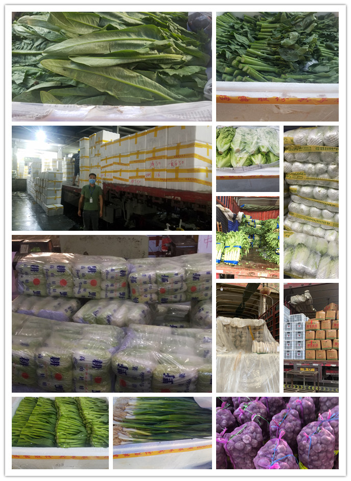 欧宝OB(中国集团)有限公司官网