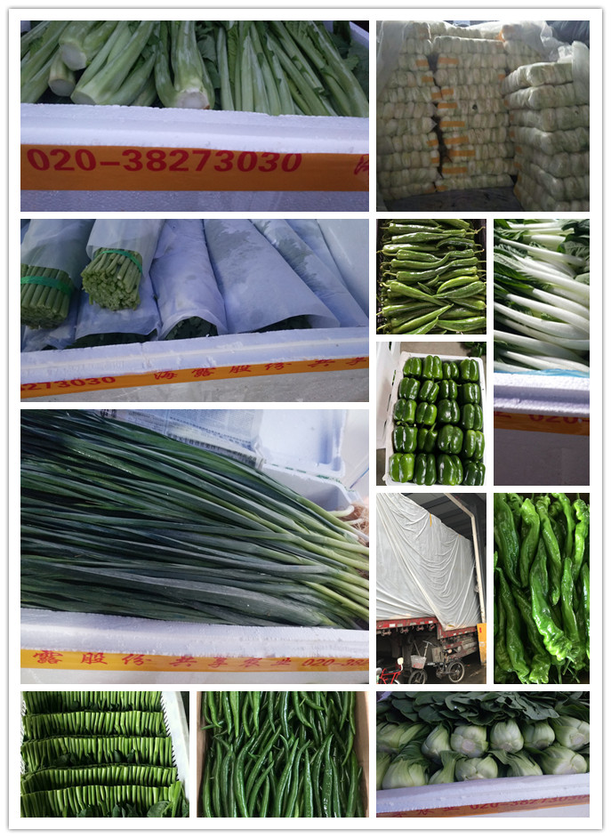 欧宝OB(中国集团)有限公司官网