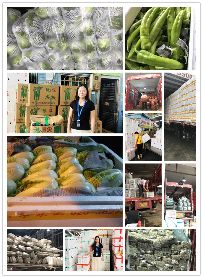 欧宝OB(中国集团)有限公司官网