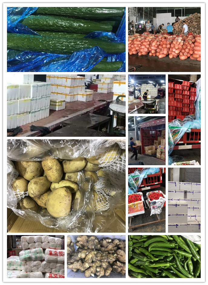 欧宝OB(中国集团)有限公司官网