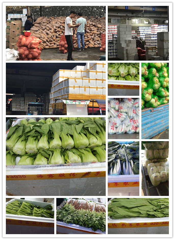 欧宝OB(中国集团)有限公司官网