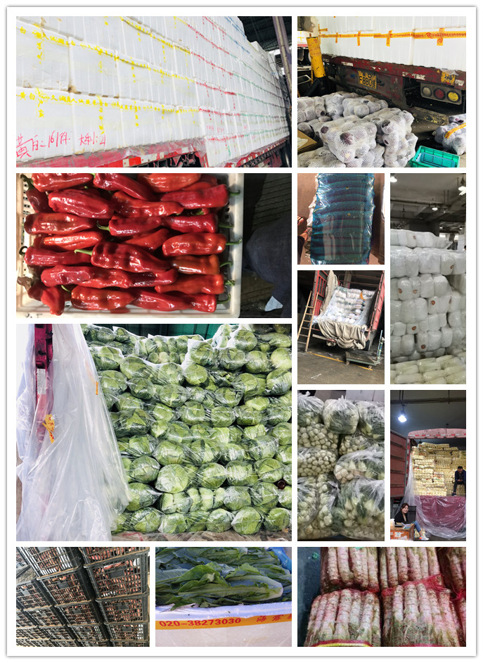 欧宝OB(中国集团)有限公司官网