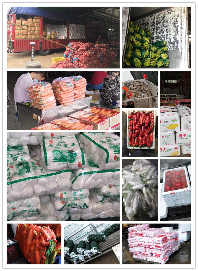 欧宝OB(中国集团)有限公司官网