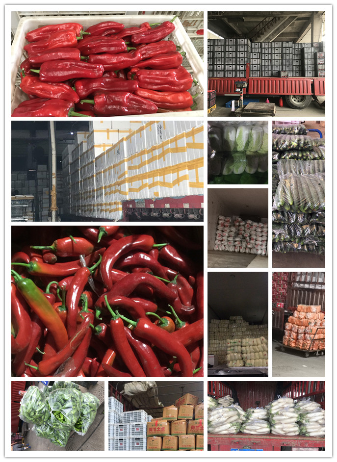 欧宝OB(中国集团)有限公司官网