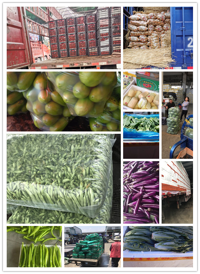 欧宝OB(中国集团)有限公司官网