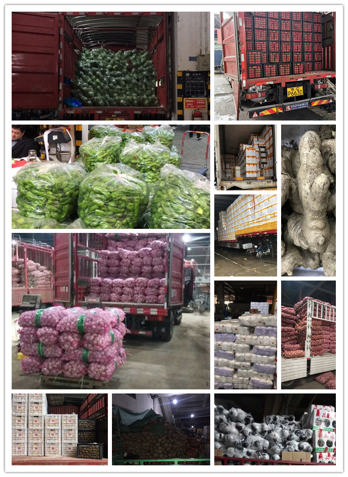 欧宝OB(中国集团)有限公司官网