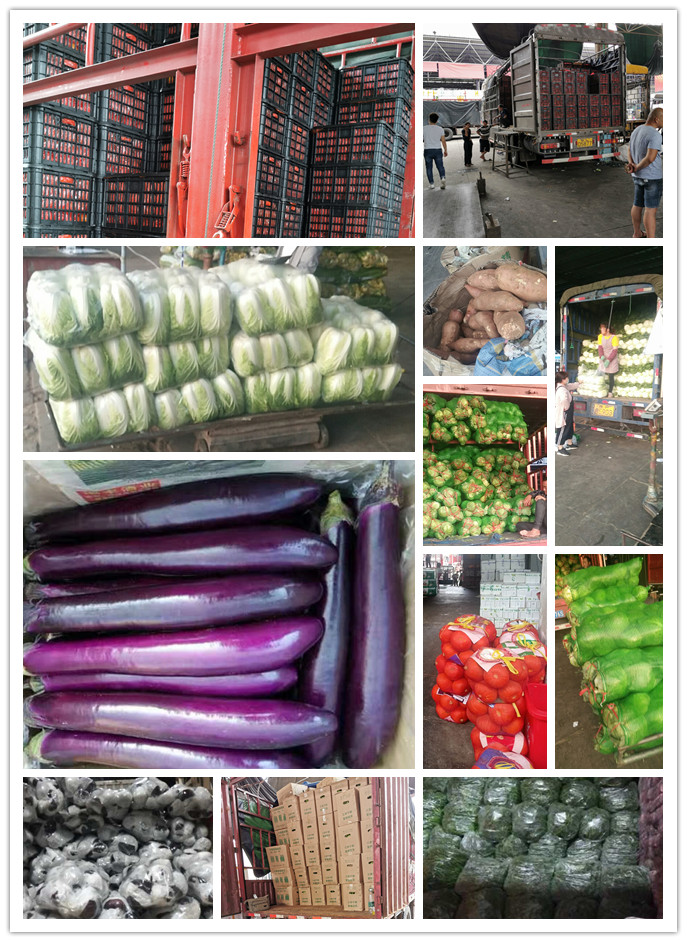 欧宝OB(中国集团)有限公司官网