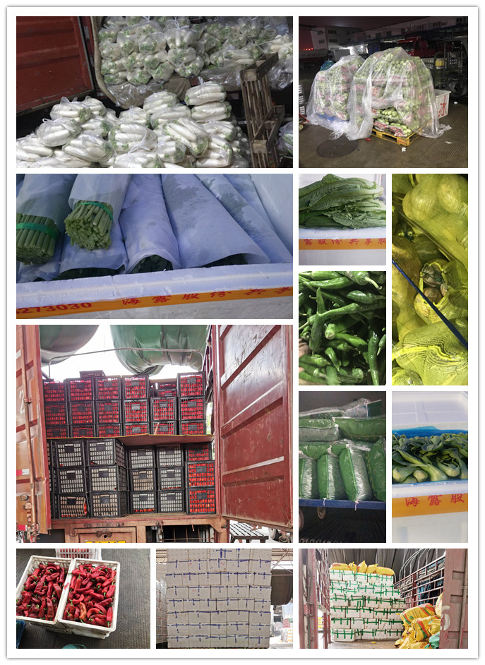 欧宝OB(中国集团)有限公司官网