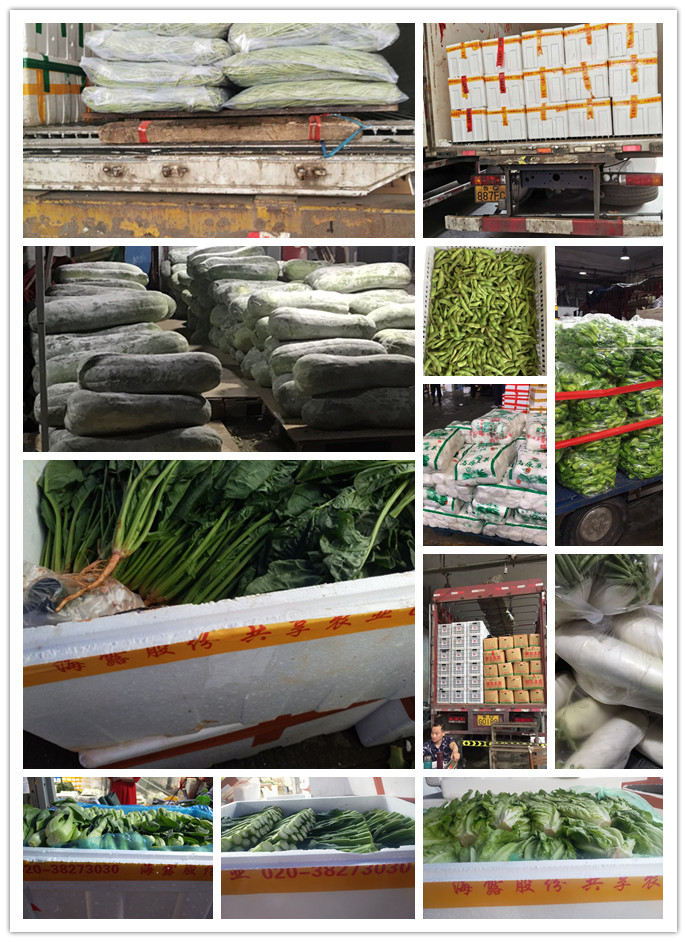 欧宝OB(中国集团)有限公司官网