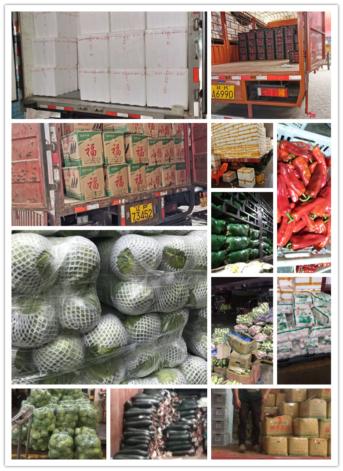 欧宝OB(中国集团)有限公司官网