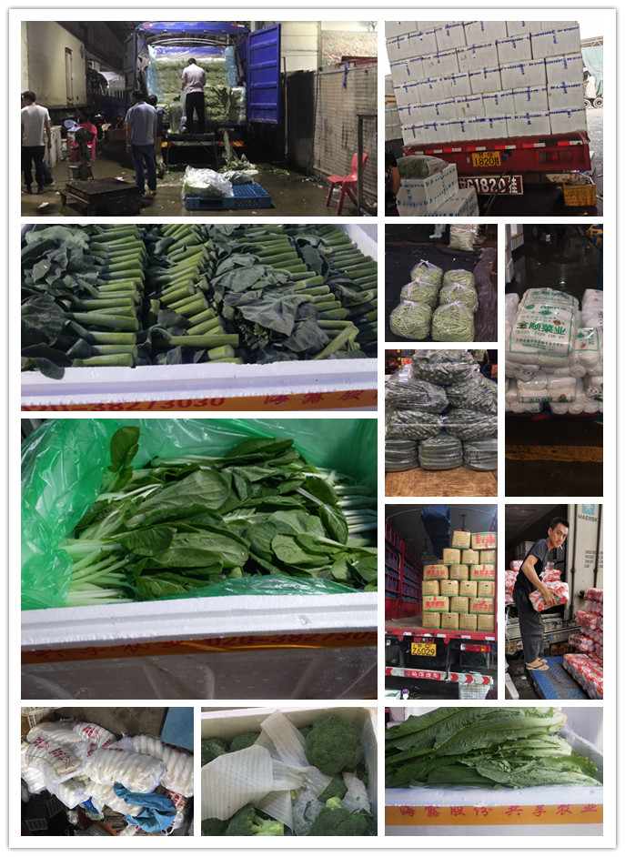 欧宝OB(中国集团)有限公司官网