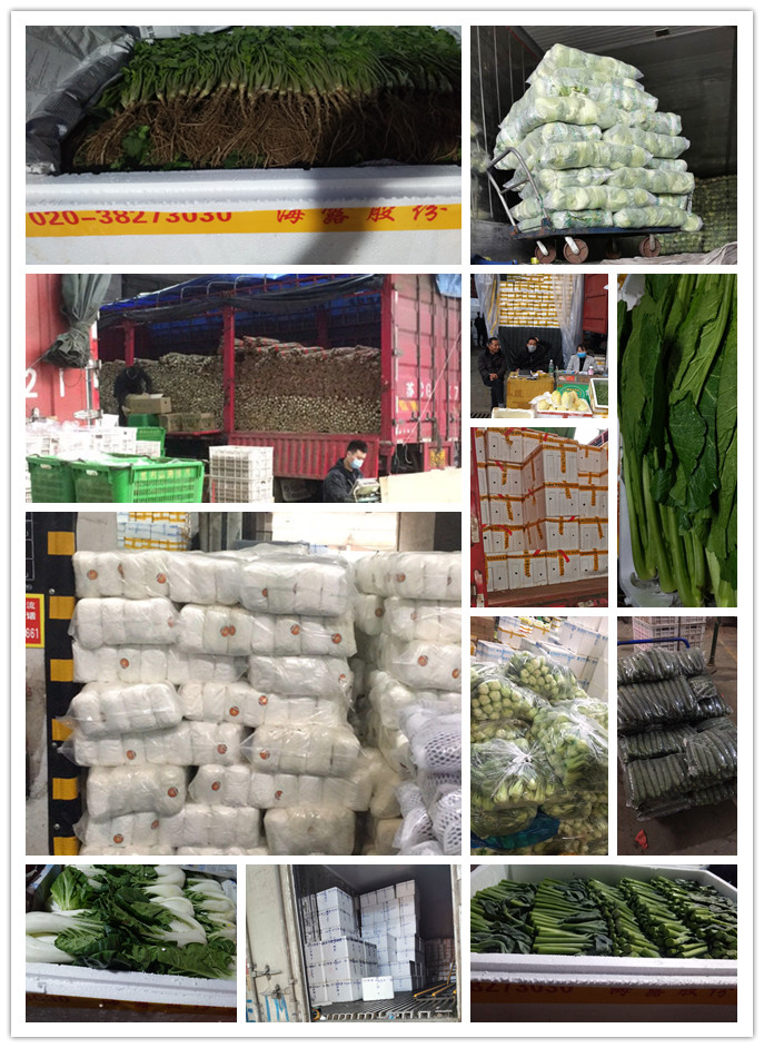 欧宝OB(中国集团)有限公司官网