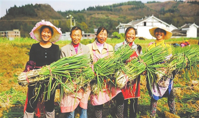 欧宝OB(中国集团)有限公司官网