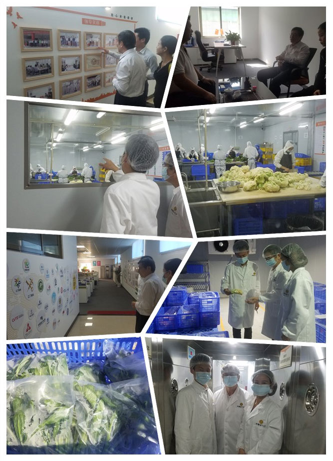 欧宝OB(中国集团)有限公司官网