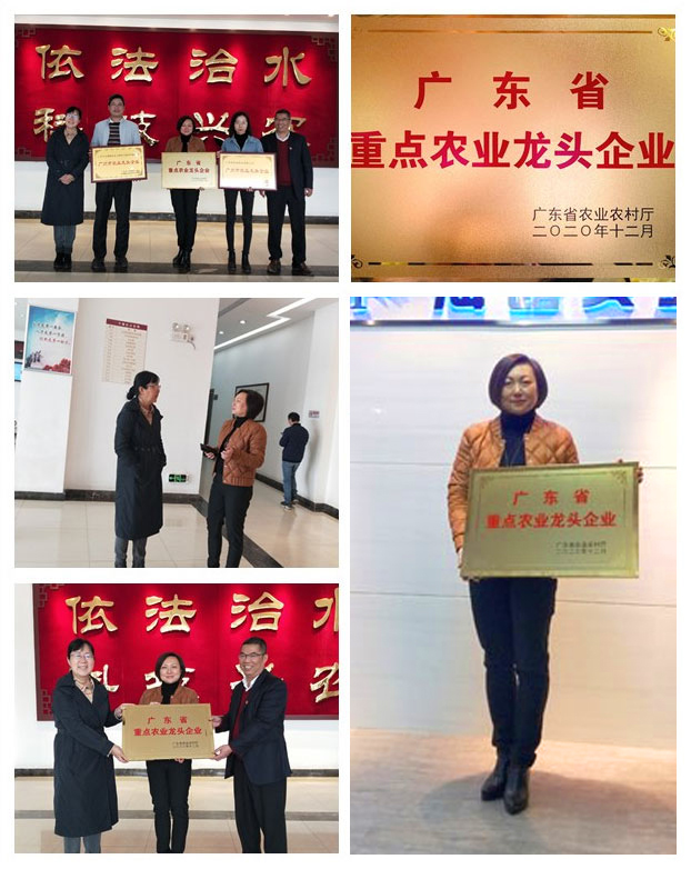 欧宝OB(中国集团)有限公司官网