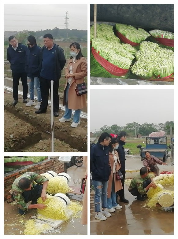 欧宝OB(中国集团)有限公司官网