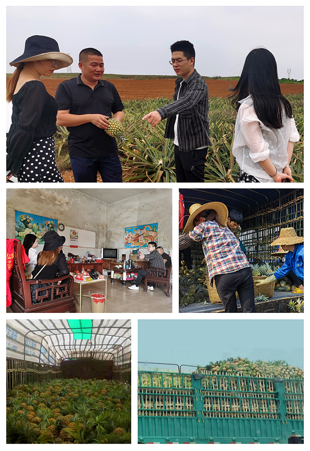 欧宝OB(中国集团)有限公司官网