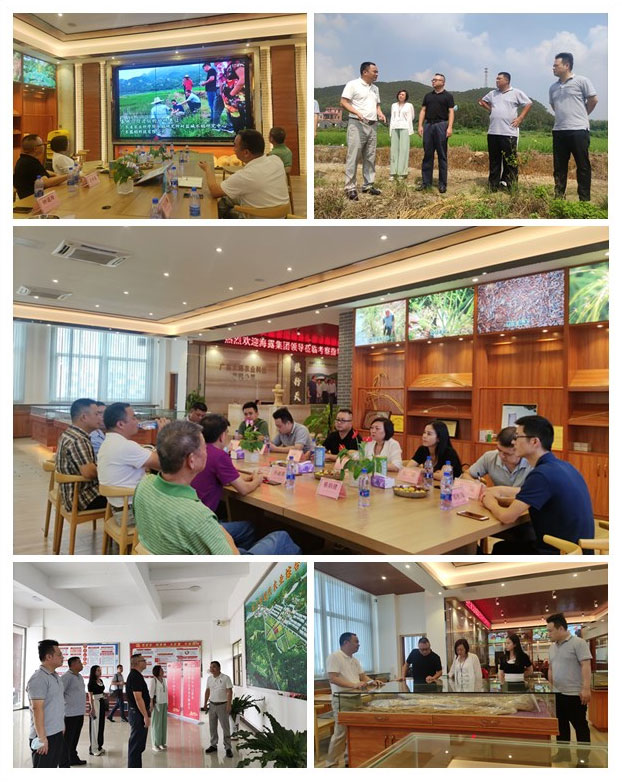 欧宝OB(中国集团)有限公司官网