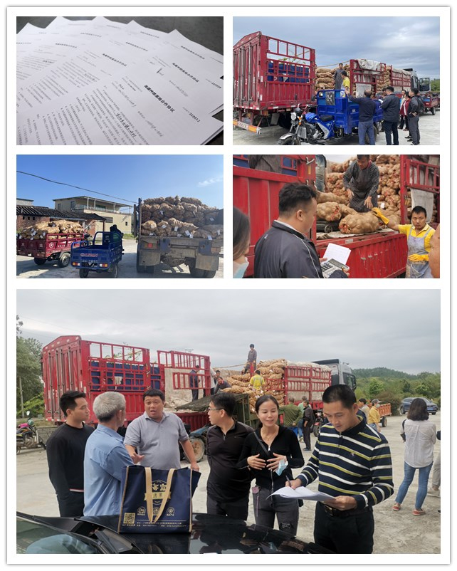 欧宝OB(中国集团)有限公司官网