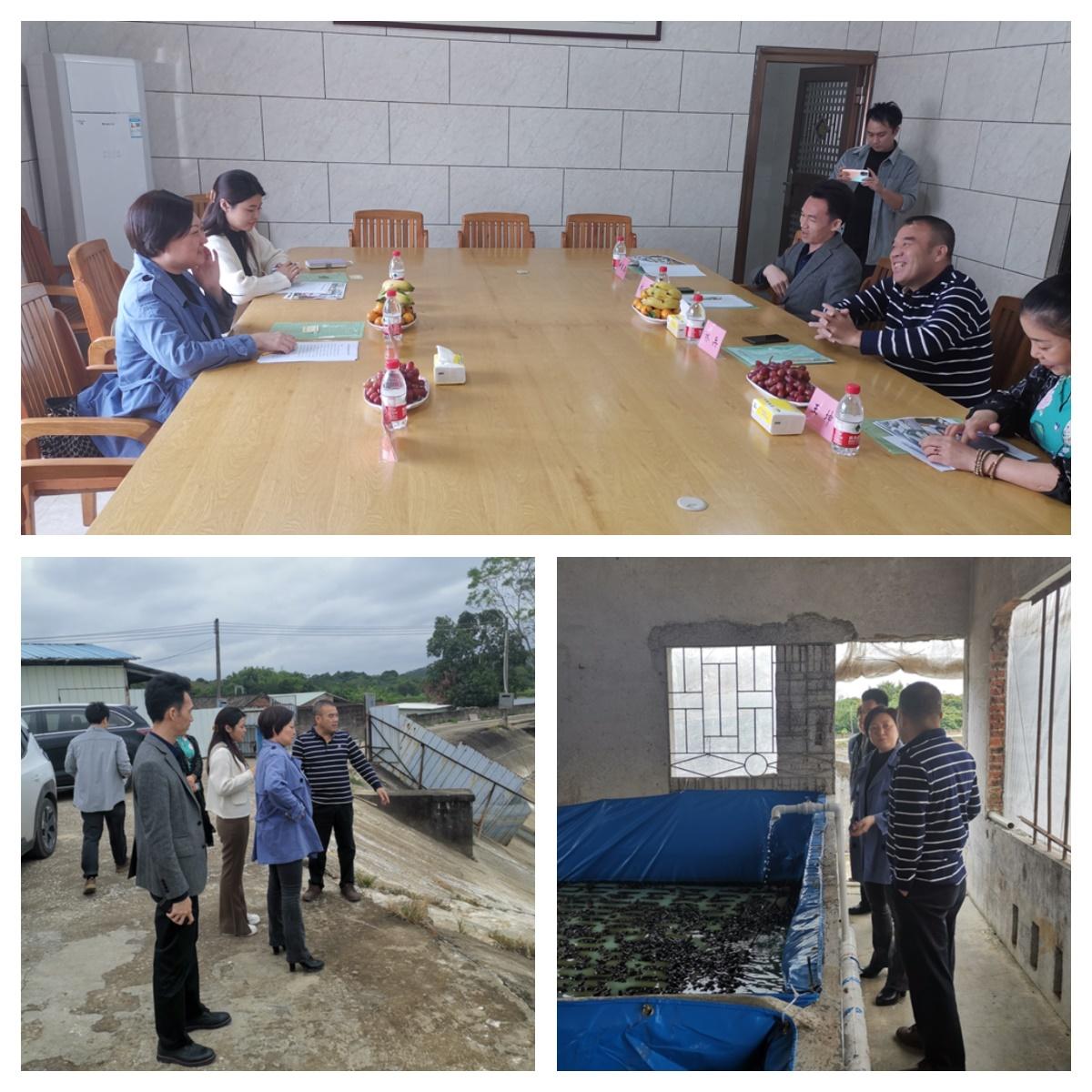 欧宝OB(中国集团)有限公司官网