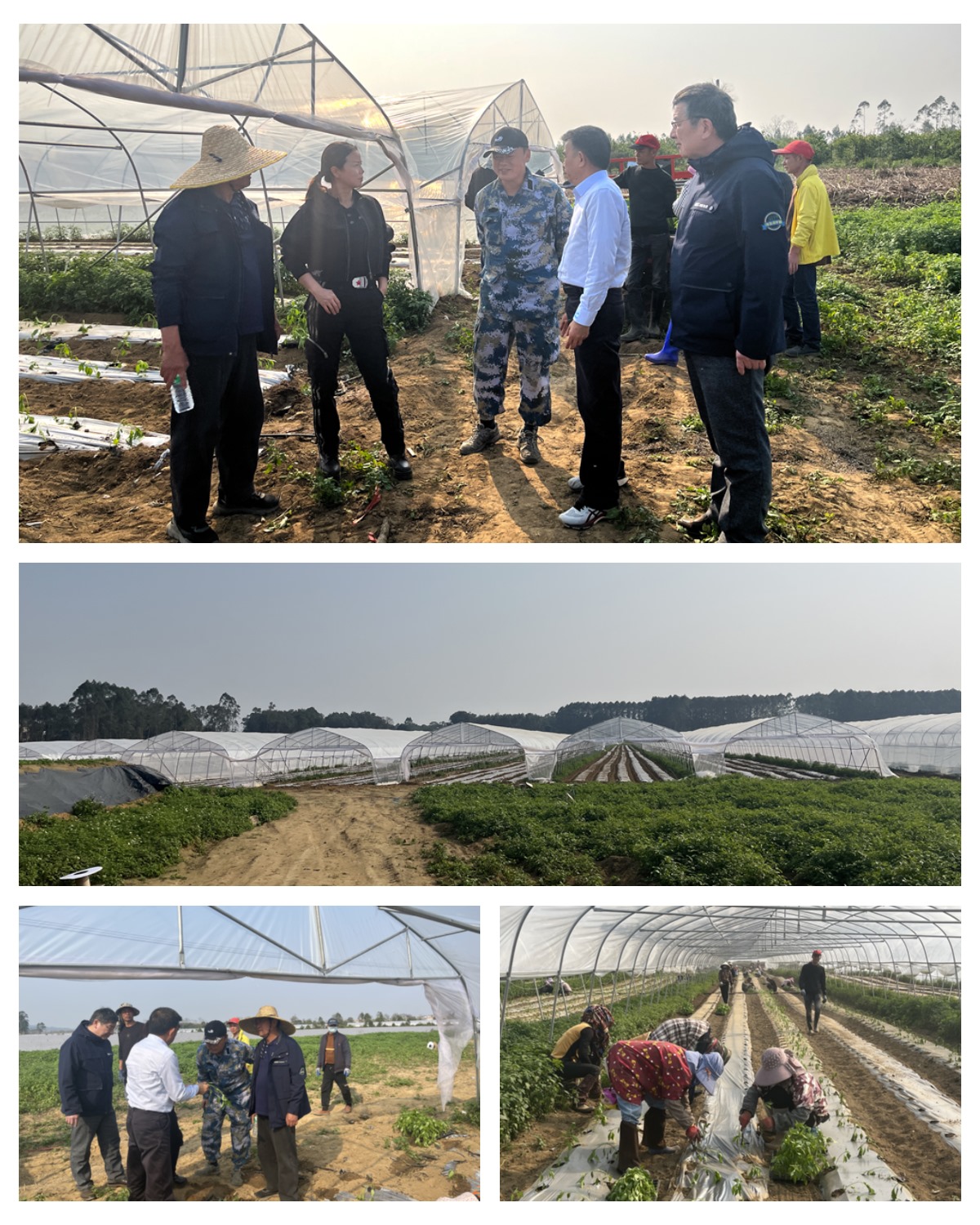 欧宝OB(中国集团)有限公司官网