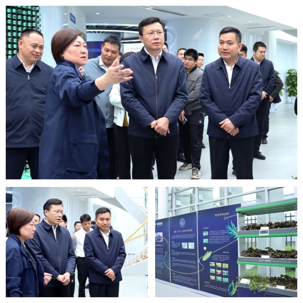 欧宝OB(中国集团)有限公司官网