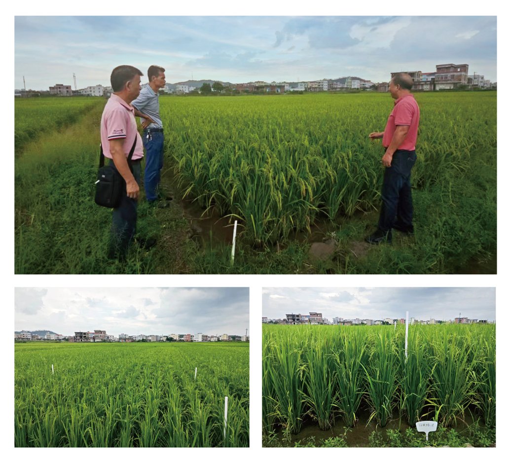 欧宝OB(中国集团)有限公司官网