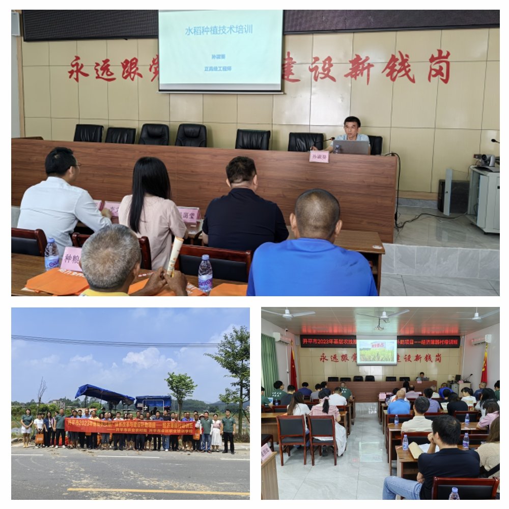 欧宝OB(中国集团)有限公司官网