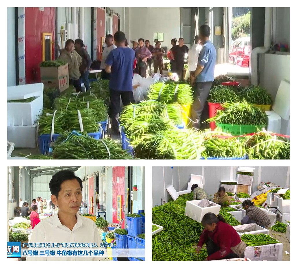 欧宝OB(中国集团)有限公司官网