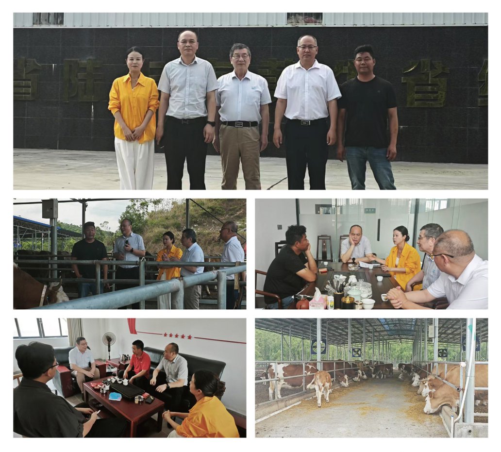 欧宝OB(中国集团)有限公司官网