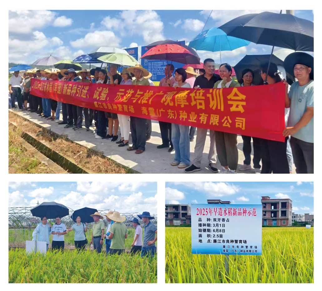 欧宝OB(中国集团)有限公司官网